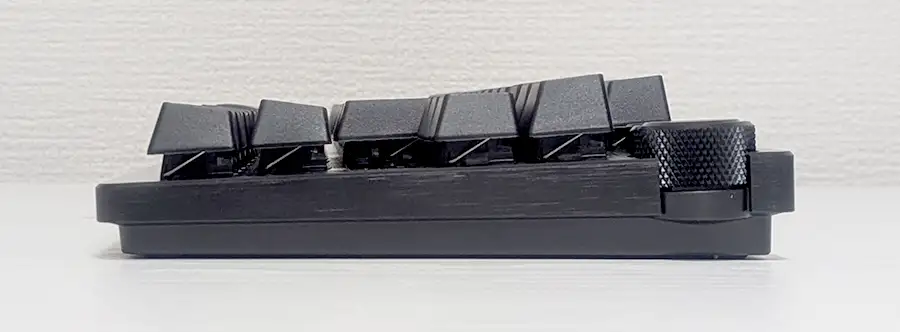 横から見たところ