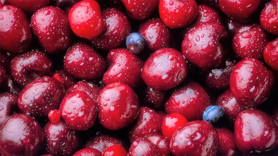 4Kサンプル映像