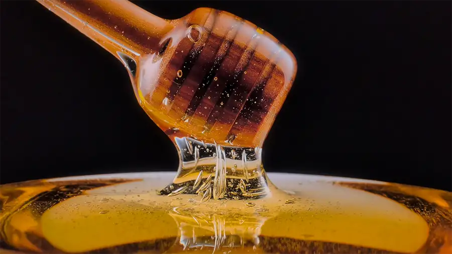 4Kサンプル映像